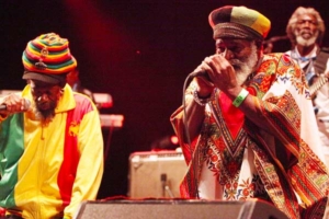 the Abyssinians